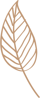 img-leaf img-leaf